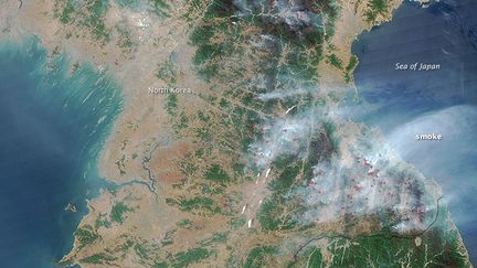 Un satellite de la Nasa a observ&eacute; des dizaines d'incendie en Cor&eacute;e du Nord, dont le panache de fum&eacute;e gagne la mer du Japon. ( NASA)