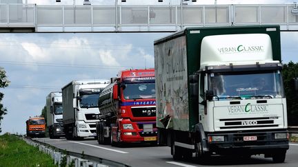 Des camions passant sous un portail de contr&ocirc;le qui v&eacute;rifie s'ils ont pay&eacute; l'&eacute;cotaxe, le 27 juin 2013 sur l'autoroute A25 pr&egrave;s d'Armenti&egrave;res, dans le Nord. (PHILIPPE HUGUEN / AFP)