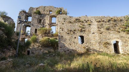 Les ruines du château de Forcalqueiret, dans le Var, figurent parmi les monuments emblématiques bénéficiaires du lotto du patrimoine imaginé par Stéphane Bern.&nbsp; (CAVALIER MICHEL / HEMIS.FR / HEMIS.FR)