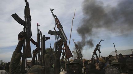 Des combattants rebelles brandissent leurs armes dans l'&eacute;tat du Nil sup&eacute;rieur (Sud Soudan), le 13 f&eacute;vrier 2014. (GORAN TOMASEVIC / REUTERS)