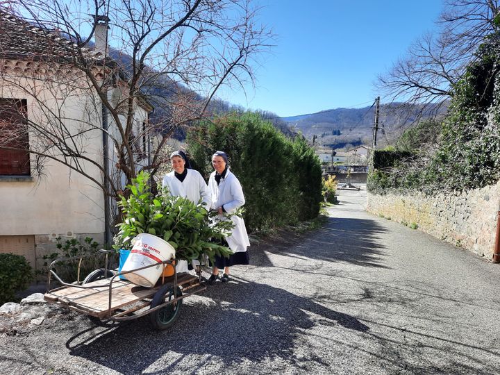 Sisters of the Missionary Family of Notre-Dame (AGATHE MAHUET/FRANCEINFO)