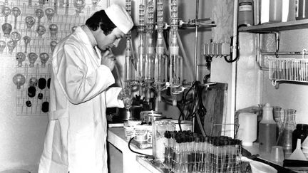 Contrôle de la viande dans le laboratoire de l'usine de rillettes Bordeau Chesnel, dans les années 70, à Champagné, dans la Sarthe. (Illustration) (MICHEL GILE / GAMMA-RAPHO VIA GETTY IMAGES)