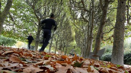 Des joggeurs au Jardin des plantes, &agrave; Paris. (MANUEL COHEN / AFP )