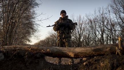 Un milicien prorusse dans la r&eacute;gion s&eacute;paratiste de Louhansk, dans l'est de l'Ukraine, le 5 novembre 2014. (VALERIY MELNIKOV / RIA NOVOSTI / AFP)