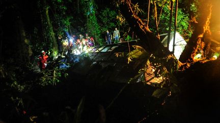 Un autocar a fait une chute de 400 m&egrave;tres dans un pr&eacute;cipice dans la sierra Dona Francisca, une zone touristique r&eacute;put&eacute;e de l'Etat de&nbsp;Santa Catarin dans le sud du Br&eacute;sil, le 14 mars 2015.&nbsp; (SALMO DUARTE / AFP)