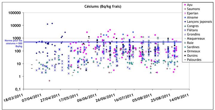 Evolution temporelle des concentrations de c&eacute;siums dans certains produits de la mer, vivant pr&egrave;s de la centrale de Fukushima (Japon). (IRSN)