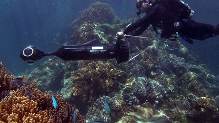 Un plongeur photographie la Grande barri&egrave;re de corail &agrave; l'aide d'un robot sous-marin, au large de l'Australie. (CATLIN SEAVIEW SURVEY / UNIVERSITY OF QUEENSLAND)