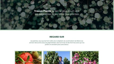 Trouve-plante.com est un site gratuit pour chercher (et trouver !) arbustes, bulbes, plantes vivaces, fruitiers etc.&nbsp; (ISABELLE MORAND / RADIO FRANCE / FRANCE INFO)