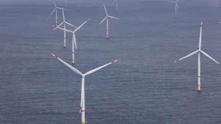 Un parc éolien en mer au Nord de la Belgique (illustration).. (KENZO TRIBOUILLARD / AFP)