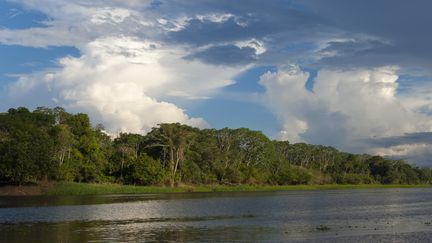 La forêt amazonienne près&nbsp;d'Iquitos, au Pérou, le 29 mai 2006.&nbsp; (WOLFGANG KAEHLER / LIGHTROCKET / GETTY IMAGES)