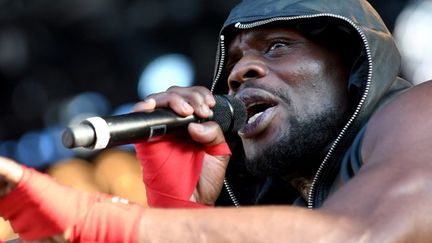 Kery James aux Vieilles Charrues en 2017
 (FRED TANNEAU / AFP)