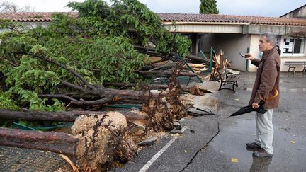 Un habitant de Saint-Martin-de-Londres (Hérault) constate les dégâts après le passage d'une tornade, dans la nuit du 23 au 24 novembre 2016. (MAXPPP)