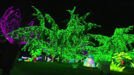 À Montauban, dans le Tarn-et-Garonne, se tient en ce moment le traditionnel festival des lanternes. Ce spectacle unique émerveille petits et grands. 400 000 visiteurs sont attendus. (France 2)