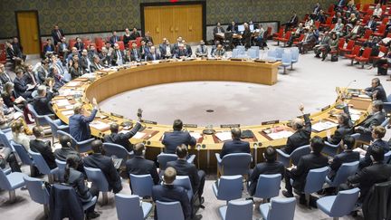 La Russie et la Chine utilisant leur veto, le 28 février 2017, pour bloquer une résolution des Nations unies visant à sanctionner l'utiisation d'armes chimiques en Syrie.&nbsp; (ONU / AFP)