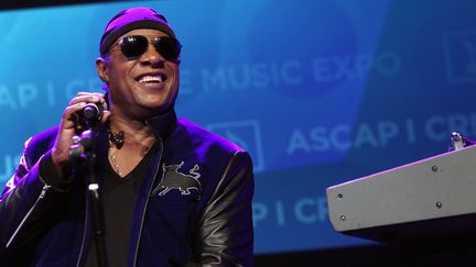 Stevie Wonder, à Los Angeles, le 15 avril 2017.
 (TOMMASO BODDI / GETTY IMAGES NORTH AMERICA / AFP)