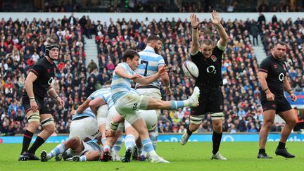 Le demi de mêlée Gonzalou Bertranou lors du dernier Angleterre-Argentine en date, le 6 novembre 2022 à Londres. (ACTION FOTO SPORT / NURPHOTO)