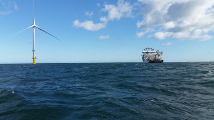 Une éolienne au large de Blyth, au nord-est de l'Angleterre.&nbsp; (ANNE-LAURE BARRAL/FRANCEINFO)