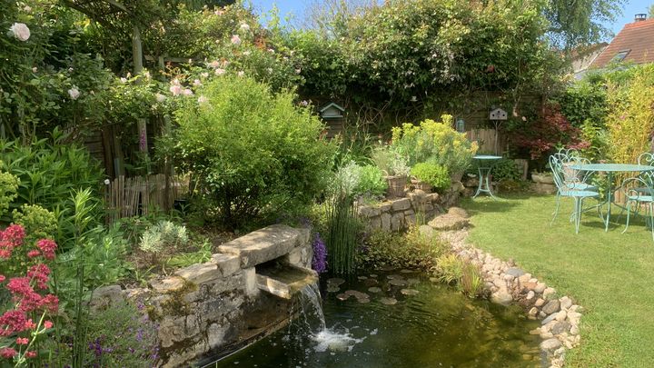 Le jardin de Laurence Marty, dans l'Essonne.&nbsp; (ISABELLE MORAND / RADIO FRANCE / FRANCE INFO)