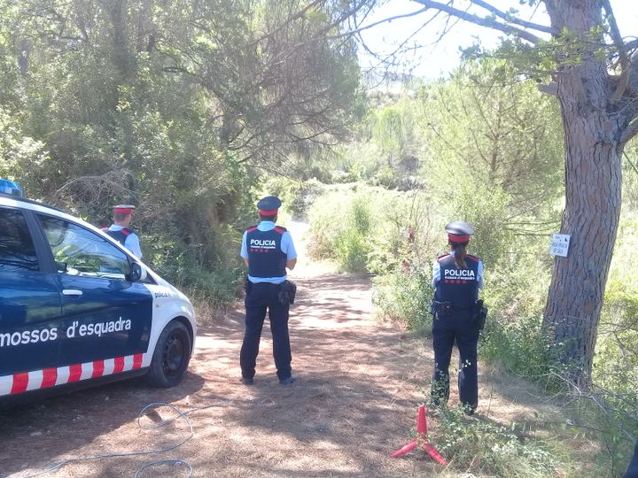 Le chemin de terre où&nbsp;Younès Abouyaaqoub a été abattu par la police, le 21 août 2017, près du village de Subirats (Espagne). (RAPHAEL GODET / FRANCEINFO)