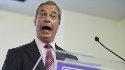 Nigel Farage, l'ancien patron de Ukip, lors de la campagne pour le Brexit. (afp/ Niklas Hallen)