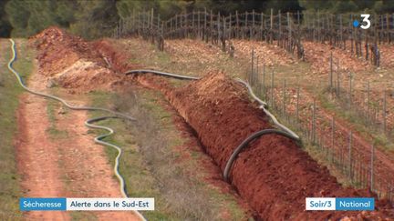 La sécheresse dans le sud de la France (France 3)