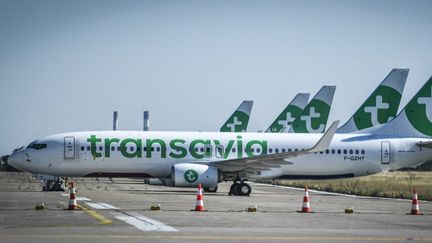 Un avion de la compagnie Transavia, à l'aéroport d'Orly (val-de-Marne), le 24 juin 2020. (STEPHANE DE SAKUTIN / AFP)