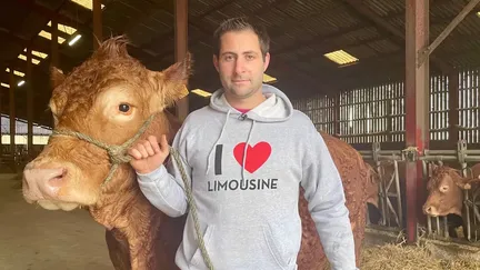 Salon de l'agriculture : Oupette, vache limousine de la Vienne, choisie comme égérie pour l'édition 2025