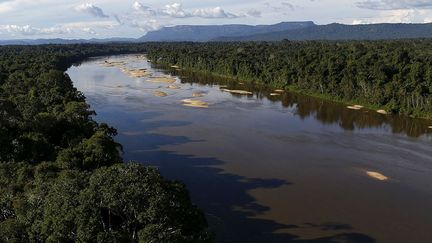 est grand comme deux fois la Suisse (9,5 millions d'hectares). Environ 30.000 personnes y vivent. Cette terre leur appartient officiellement depuis 1992.  (REUTERS/Bruno Kelly)