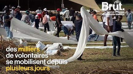 VIDEO. Marée noire à l'île Maurice : après le naufrage du MV Wakashio, les habitants s'organisent (BRUT)