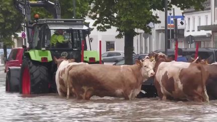 Intempéries : inondations meurtrières en Allemagne (franceinfo)