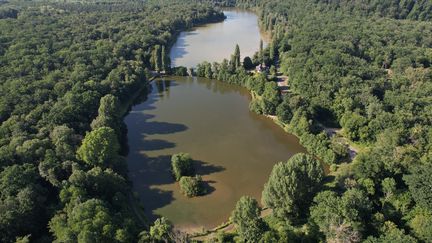 La Forêt de Compiègne est l'une des plus vastes de France