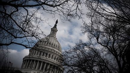 Le nouveau Congrès américain fait sa rentrée, jeudi 3 janvier 2019 à Washington. (ERIC BARADAT / AFP)