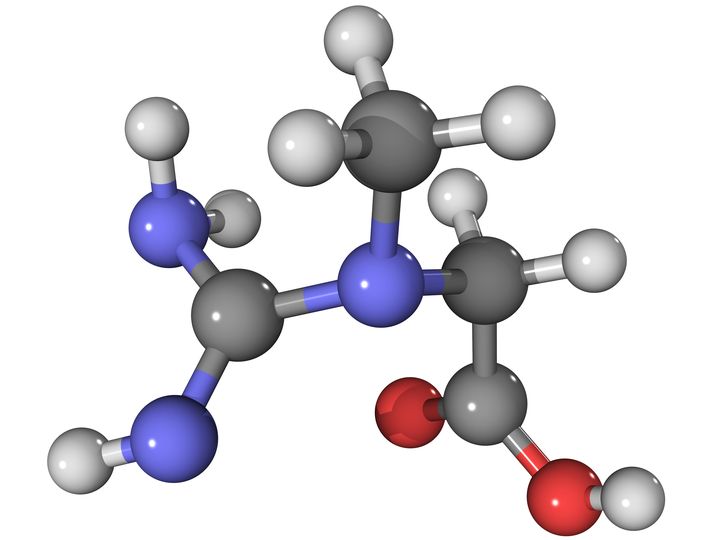 Sch&eacute;ma scientifique d'une mol&eacute;cule de cr&eacute;atine. (LAGUNA DESIGN / NSP / AFP)