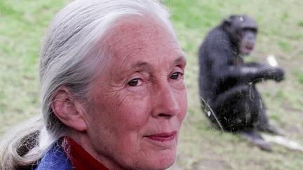 Rencontre : Jane Goodall, une vie au service de la planète (France 2)