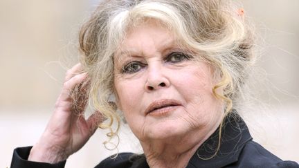 Brigitte Bardot dans la cour du palais de l'Elysée, à Paris, le 27 septembre 2007. (ERIC FEFERBERG / AFP)