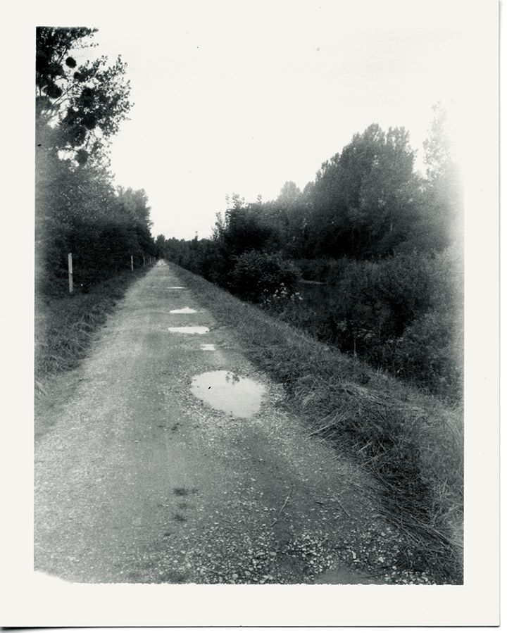 "Rimbaud Road", qui illustre "Ma bohème" dans l'édition enrichie de Patti Smith. Il s'agit d'un chemin de Roche (Ardennes) où se trouvait la ferme familiale de la mère de Rimbaud, et où Arthur rédigea "Une saison en enfer". (PATTI SMITH)