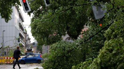  (Un arbre tombé sur la chaussée à Düsseldorf © MAXPPP / EPA / Rolf Vennenbernd)