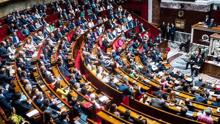 Séance publique de questions au gouvernement a l'Assemblée nationale, à Paris, le 12 juillet 2022. (XOSE BOUZAS / HANS LUCAS / AFP)