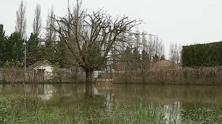 Inondation à Joigny (Yonne) à la suite de la crue de janvier 2018. (FRANCE 3)