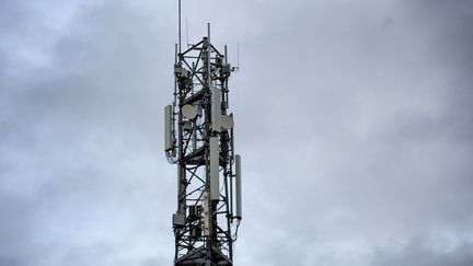 Une antenne de télécommunications à Saint-Martin-de-Seignanx (Landes), le 30 décembre 2020.&nbsp; (MARTIN NODA / HANS LUCAS)