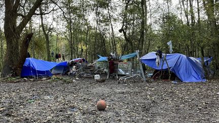 Deux tentes à côté du camp de réfugiés de Grande-Synthe (Nord), le 23 novembre 2022.&nbsp; (WILLY MOREAU / RADIO FRANCE)
