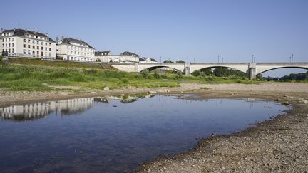 La Loire est presque à sec, le 17 juin 2022, à Saumur (Maine-et-Loire). (FREDERIC PETRY / HANS LUCAS / AFP)