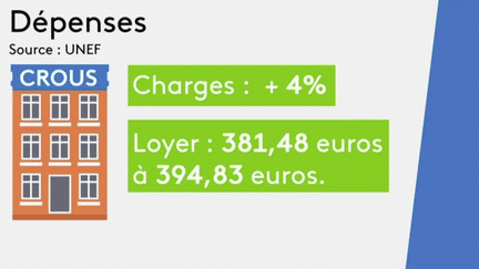 Pouvoir d’achat : les étudiants durement frappés par l’inflation (France 3)