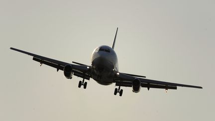 Un Boing 737, le 21 août 2008. (JUAN MABROMATA / AFP)