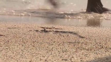 Vacances : galets, sables& Des plages pillées durant l'été