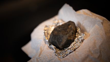 Un fragment de la météorite découverte à Saint-Pierre-le-Viger (Seine-Maritime) le 15 février 2023. (LOU BENOIST / AFP)