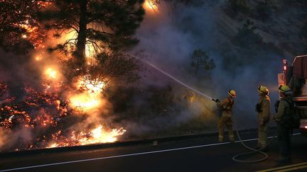 Des pompiers combattent le feu &agrave; Groveland (Californie), le 24 ao&ucirc;t 2013. (JUSTIN SULLIVAN / GETTY IMAGES)