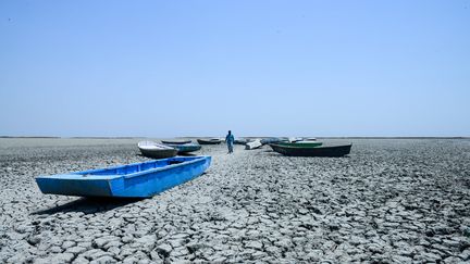 Un Indien marche à travers des bateaux, le lac du sanctuaire de Nal Sarovar (Inde) étant totalement à sec, le 4 juin 2019.&nbsp; (SAM PANTHAKY / AFP)