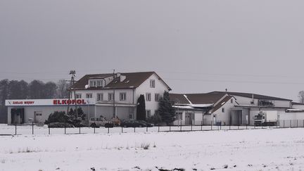 L'abattoir de Kalinowo (Pologne), le 1er février 2019. Des vaches malades y ont été abattues avant que leur viande ne soit exportée dans plusieurs pays européens. (JANEK SKARZYNSKI / AFP)