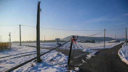 Des poteaux électriques en bois se sont cassés en bordure de route suite aux importantes chutes de neige, à Châteauneuf-sur-Isère (Drôme), le 18 novembre 2019. (NICOLAS GUYONNET / HANS LUCAS)